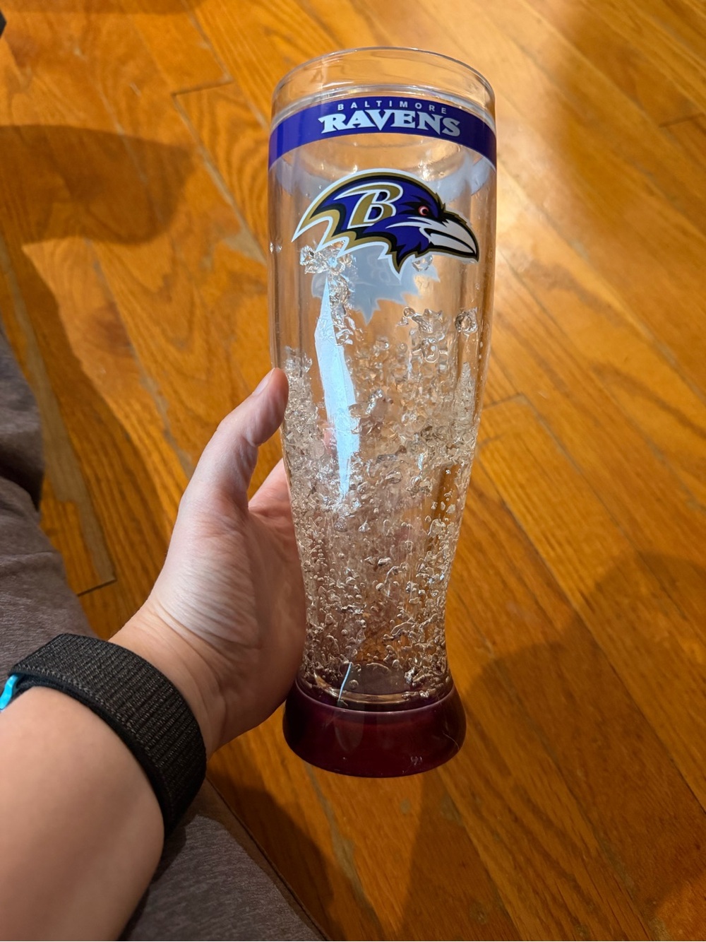 Baltimore Ravens Clear Pilsner Glass with Purple Accent